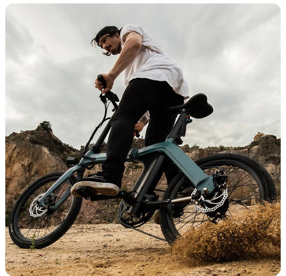 FIIDO D11 Electric Mountain Bike with mudguard and light Preorder9