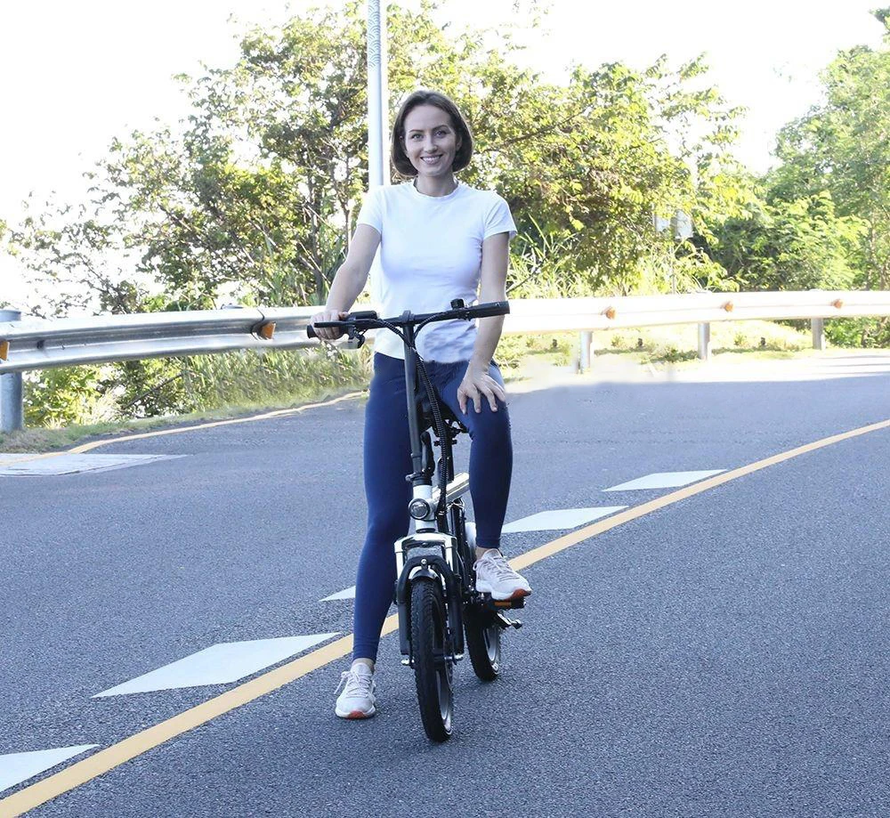 PVY S2 Electric Bike, 16-inch Pneumatic Tire 250W Motor 36V 7.5Ah Battery 25km/h Max Speed 60km Max Range