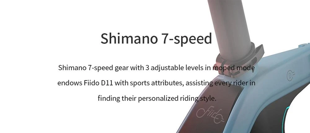 FIIDO D11 Electric Mountain Bike with mudguard and light Preorder10