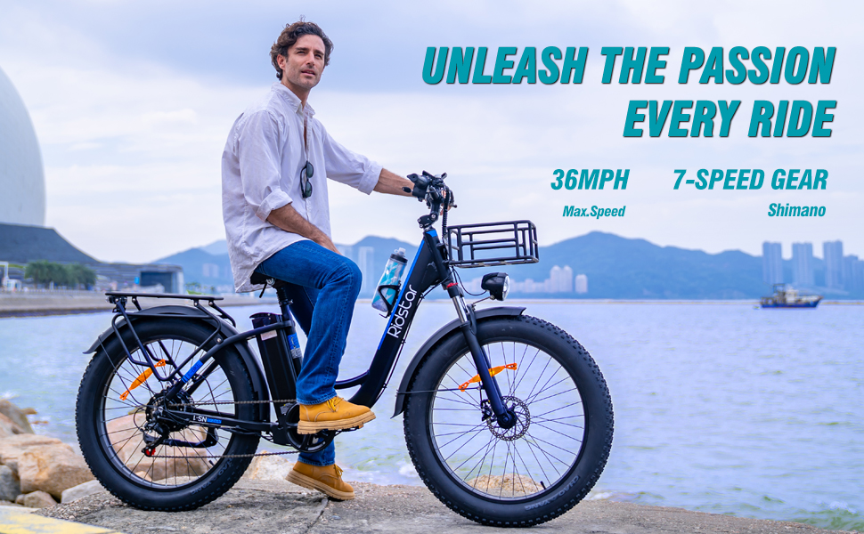electric bike for adults