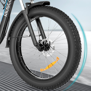 e bike for adults