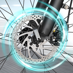 e bike