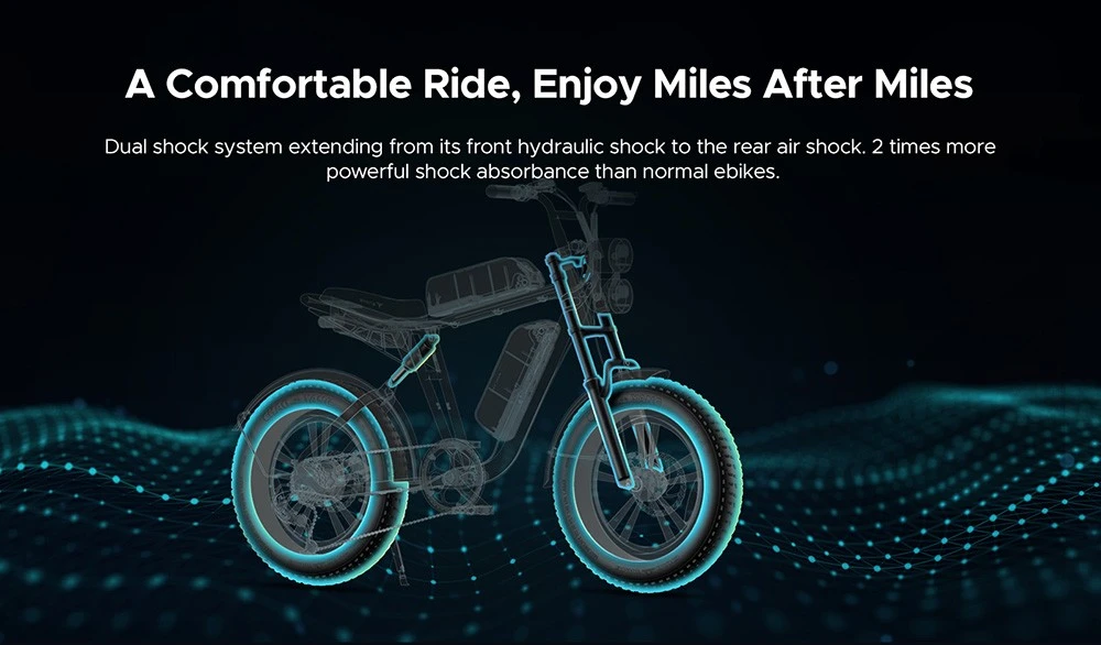 ENGWE M20 Electric Bike Preorder6