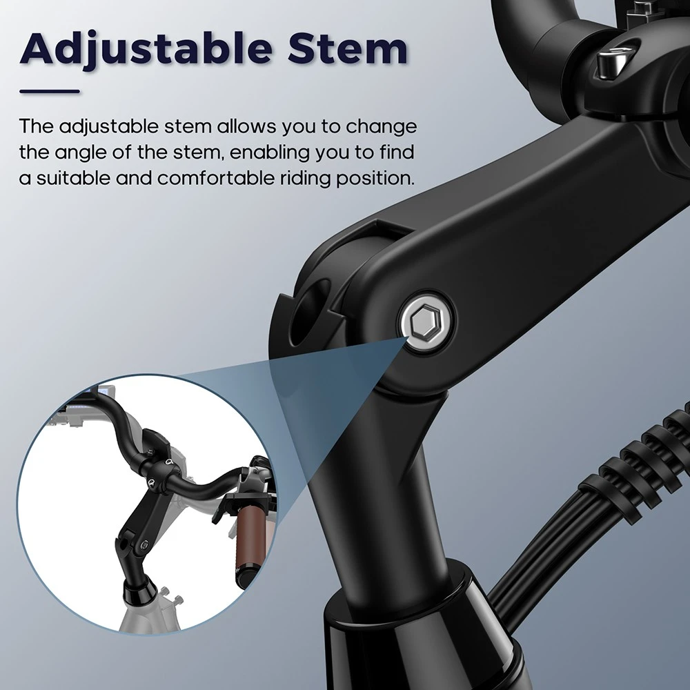 Fafrees F26 Lasting Electric Bike, 250W Motor, 36V 20.3Ah Battery, 26*1.95'' Tires, 25km/h Max Speed, 140km Range, SHIMANO 7 Speed, Mechanical Disc Brakes, 2.3-inch LCD Display - Black