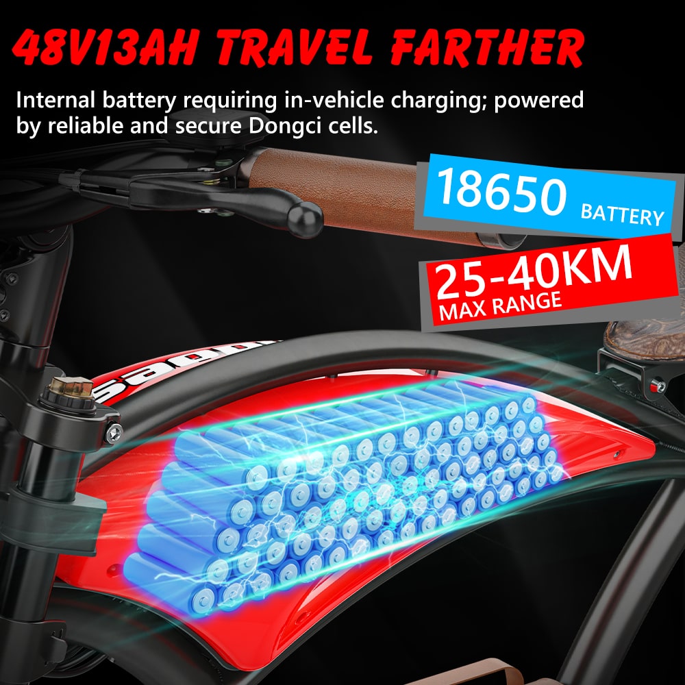 Hidoes B10 fat tire electric bike with 48V 12.5Ah Battery