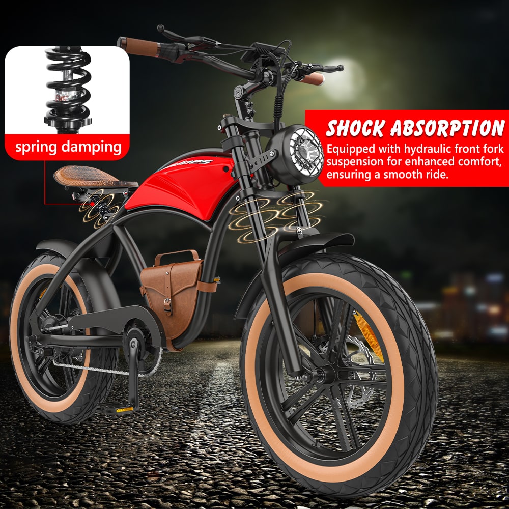 Hidoes B10 fat tire electric bike with front dual hydraulic fork suspension
