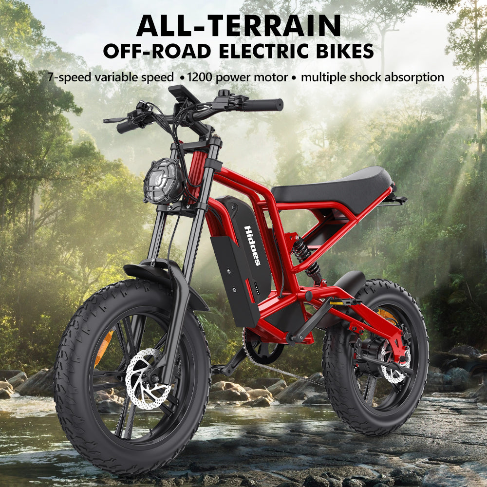 Hidoes B6 1200w electric bike for adults off road all terrain