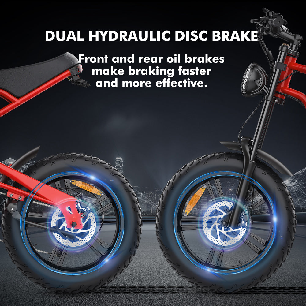 Hidoes B6 1200w electric bike for adults with oil disc brake