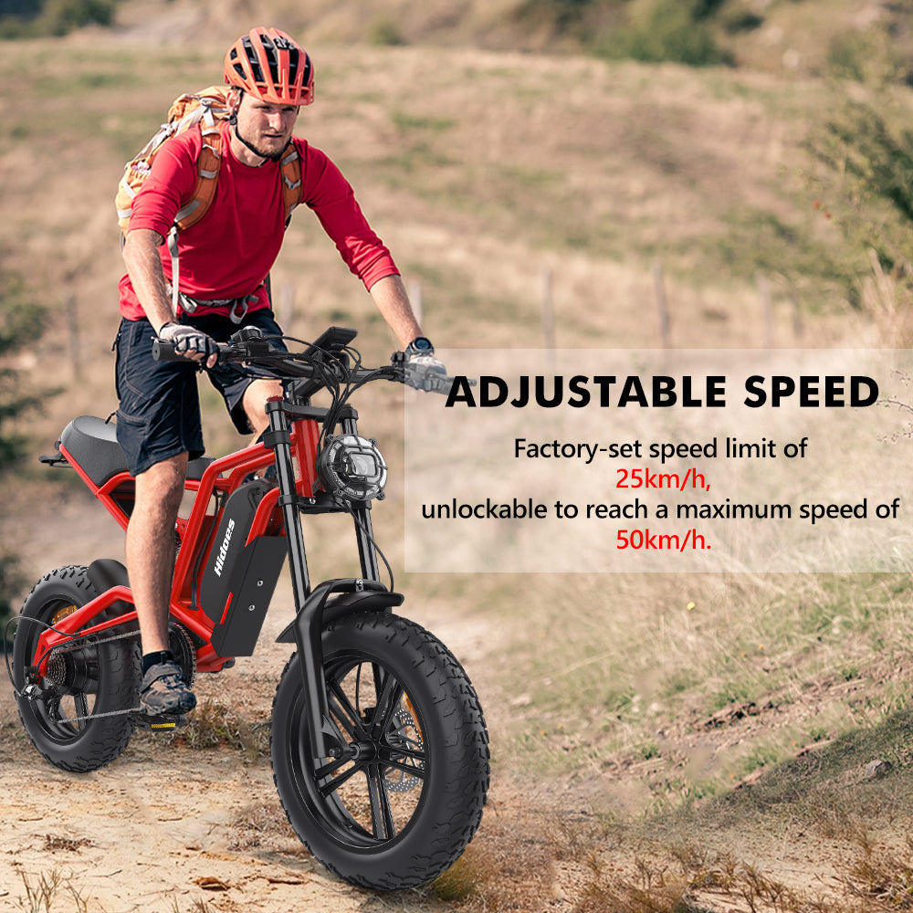 Hidoes B6 1200w electric bike for adults, max speed 50 km/h