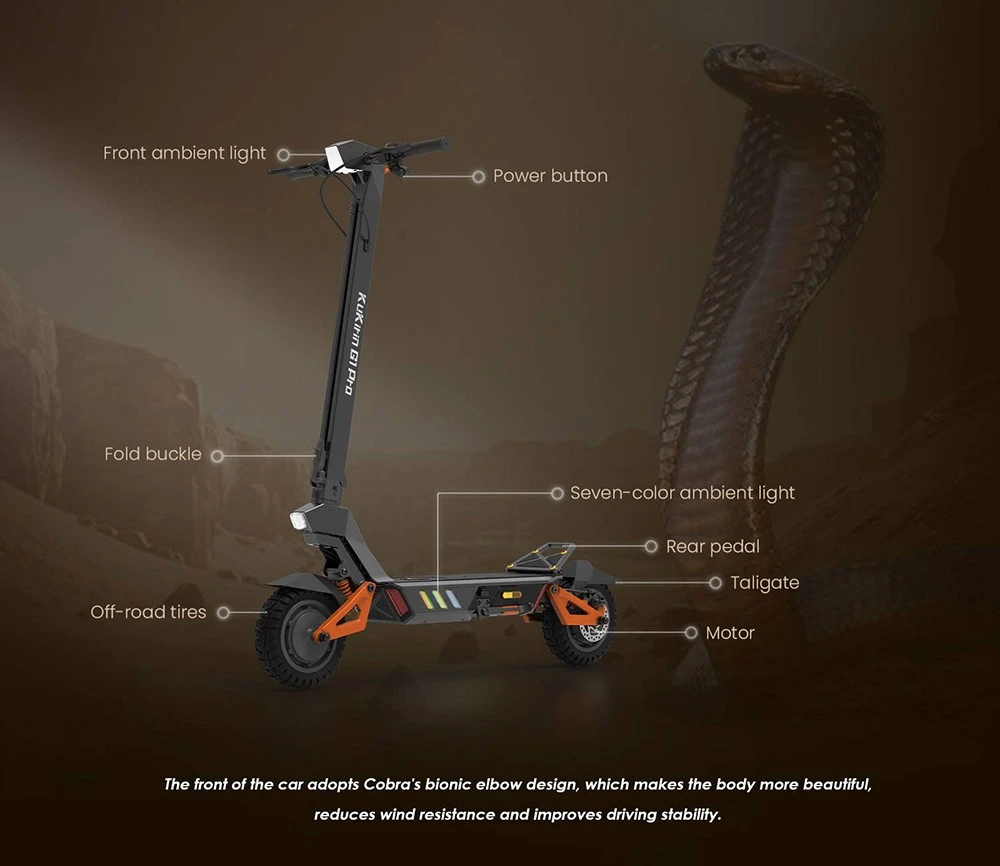 KuKirin G1 Pro Folding Electric Scooter, 10-inch Pneumatic Tire, 2*800W Motor, 48V 20.8Ah Battery, 55km Max Speed, 70km Range, Disc Brake, Ambient Lights