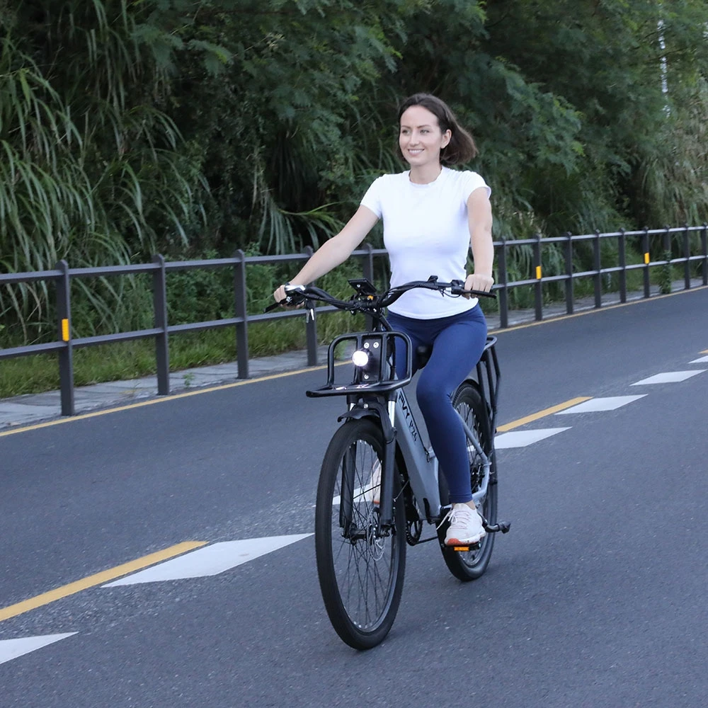 PVY P26 Electric Bike, 27.5-inch Tires 750W Motor 48V 11.6AH Battery 100km Max Range Hydraulic Brake