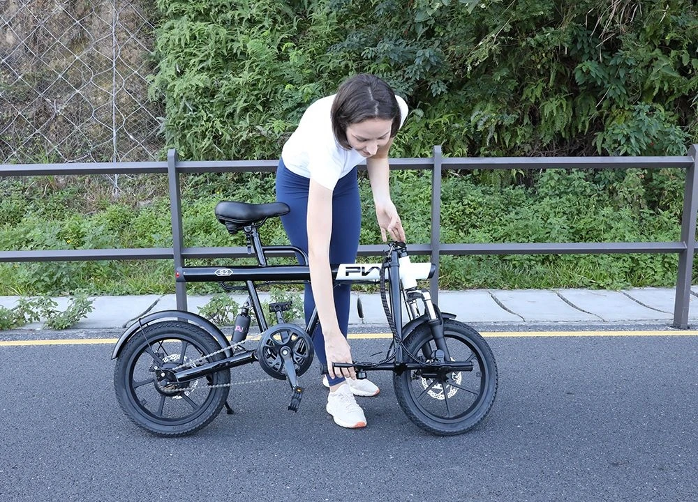 PVY S2 Electric Bike, 16-inch Pneumatic Tire 250W Motor 36V 7.5Ah Battery 25km/h Max Speed 60km Max Range