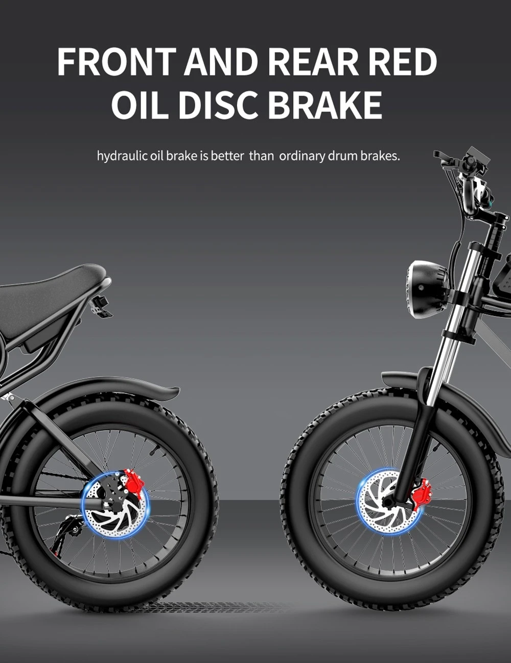 Ridstar Q20 Electric Bike, 1000W Brushless Motor 20*4 Inch Fat Tires 48V 20Ah Removable Battery 30mph Max Speed 75miles Max Range Hydraulic Disc Brake