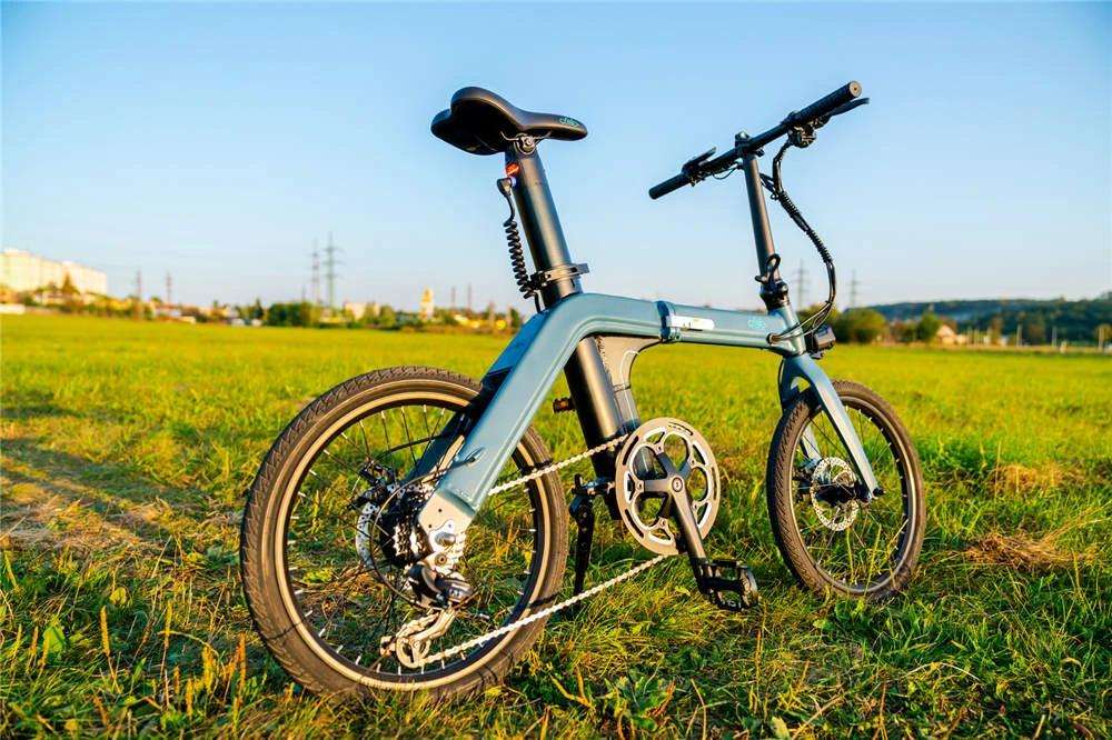 FIIDO D11 Folding Electric Moped Bicycle 20 Inches Tire 25km/h Max Speed Three Modes 11.6AH Lithium Battery 100km Range Adjustable Seat Dual Disc Brakes with LCD Display for Adults Teenagers - Blue