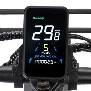 LCD Screen
