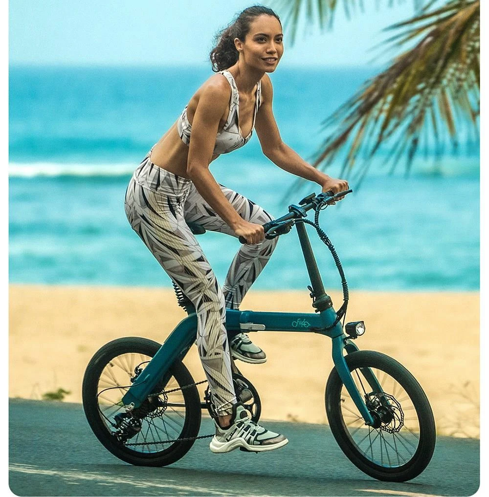 FIIDO D11 Electric Mountain Bike with mudguard and light Preorder13